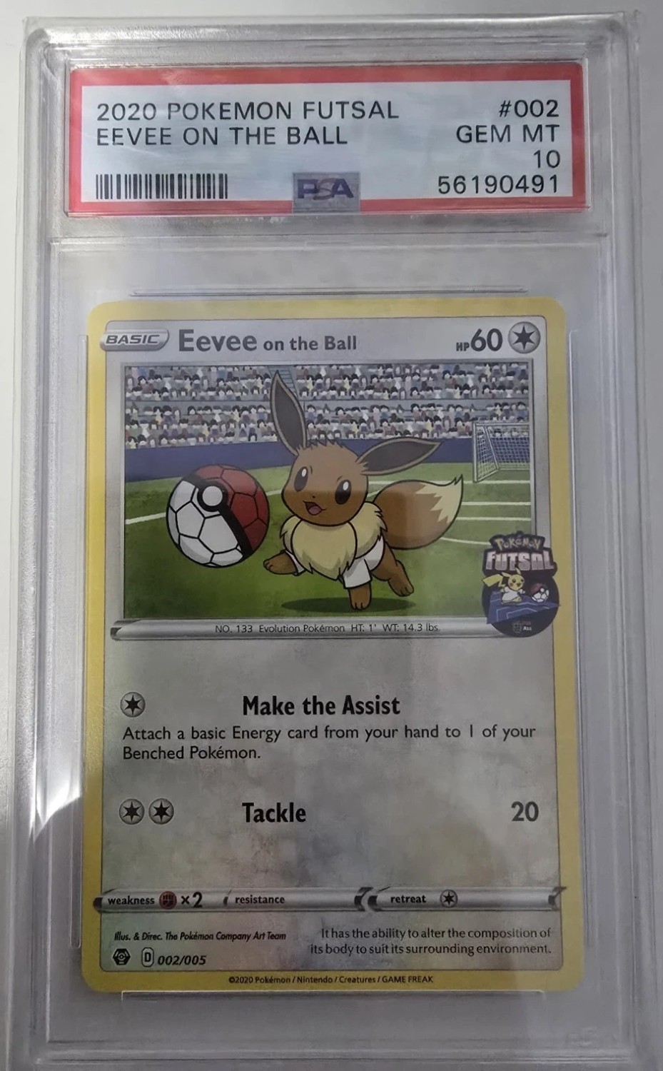 Eevee On The Ball