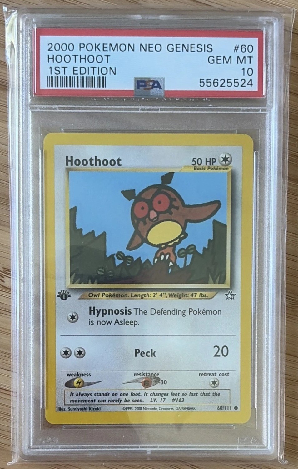 Hoothoot