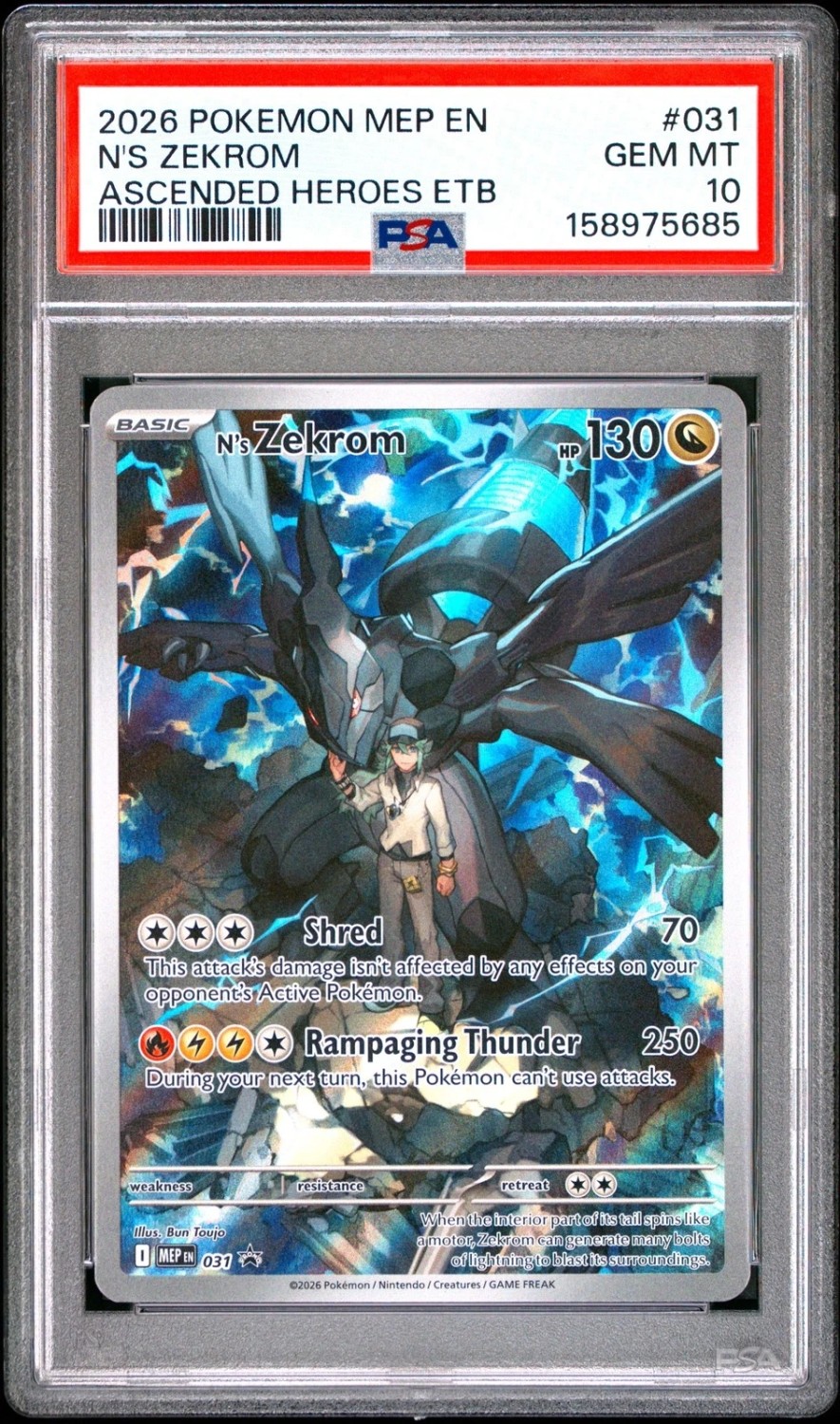N's Zekrom