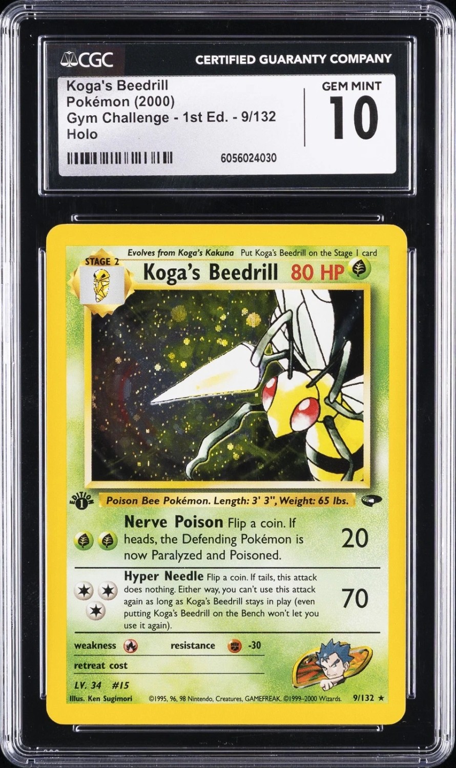 Koga's Beedrill