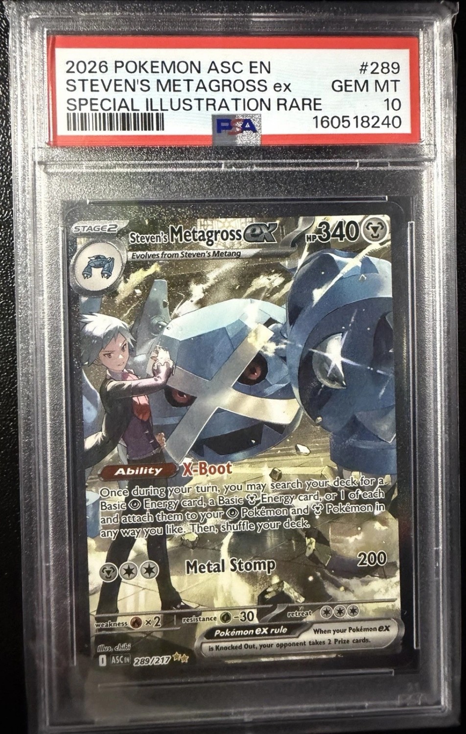 STEVEN'S METAGROSS ex