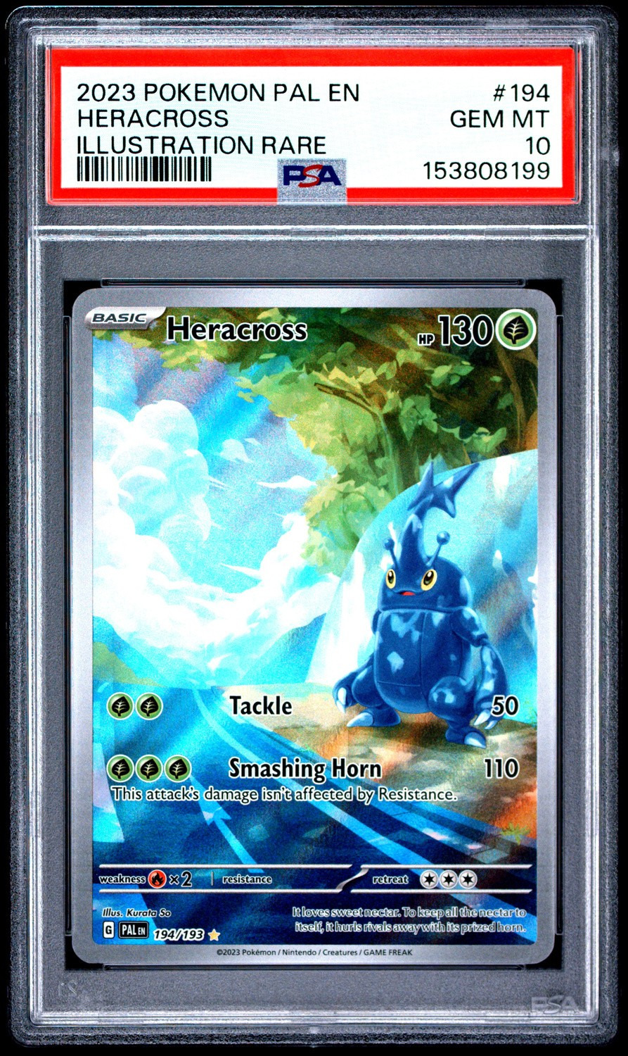 Heracross
