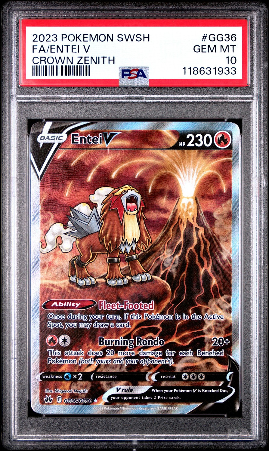 Entei V