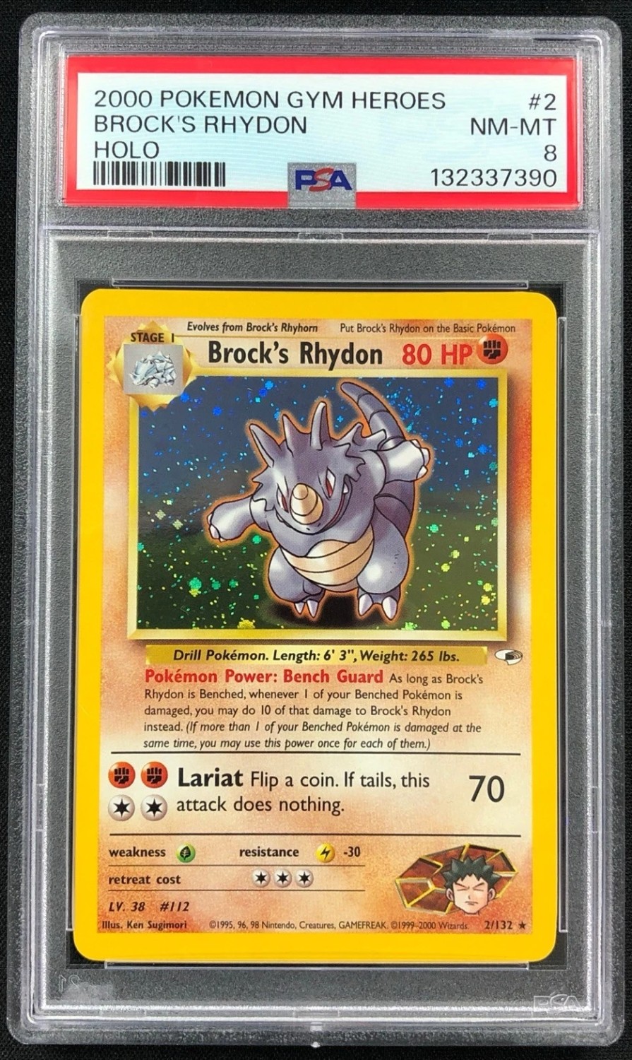 Brock's Rhydon
