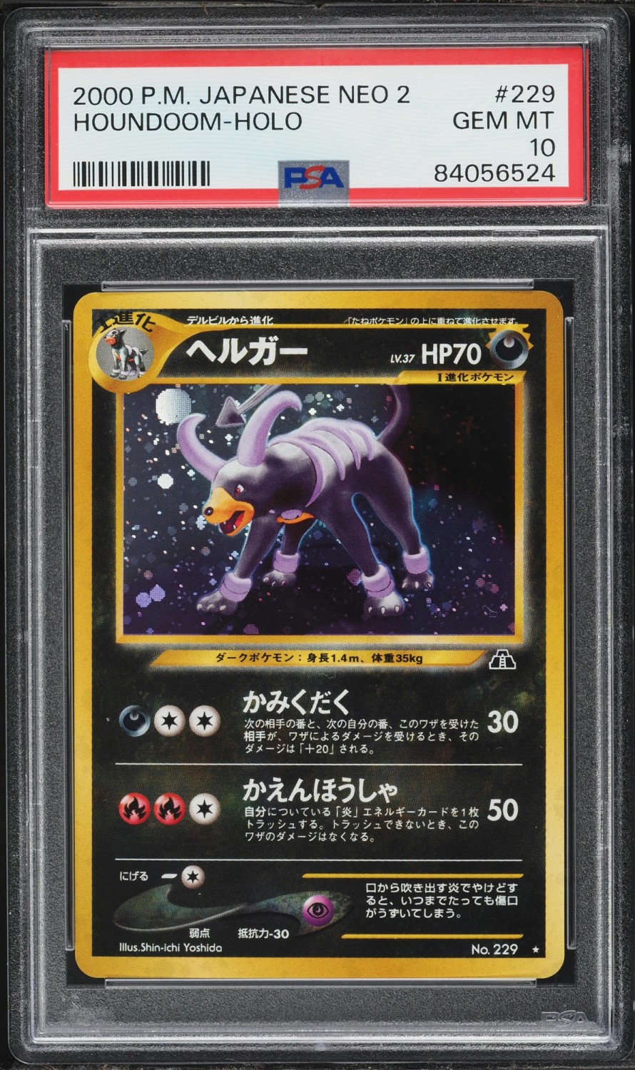Houndoom