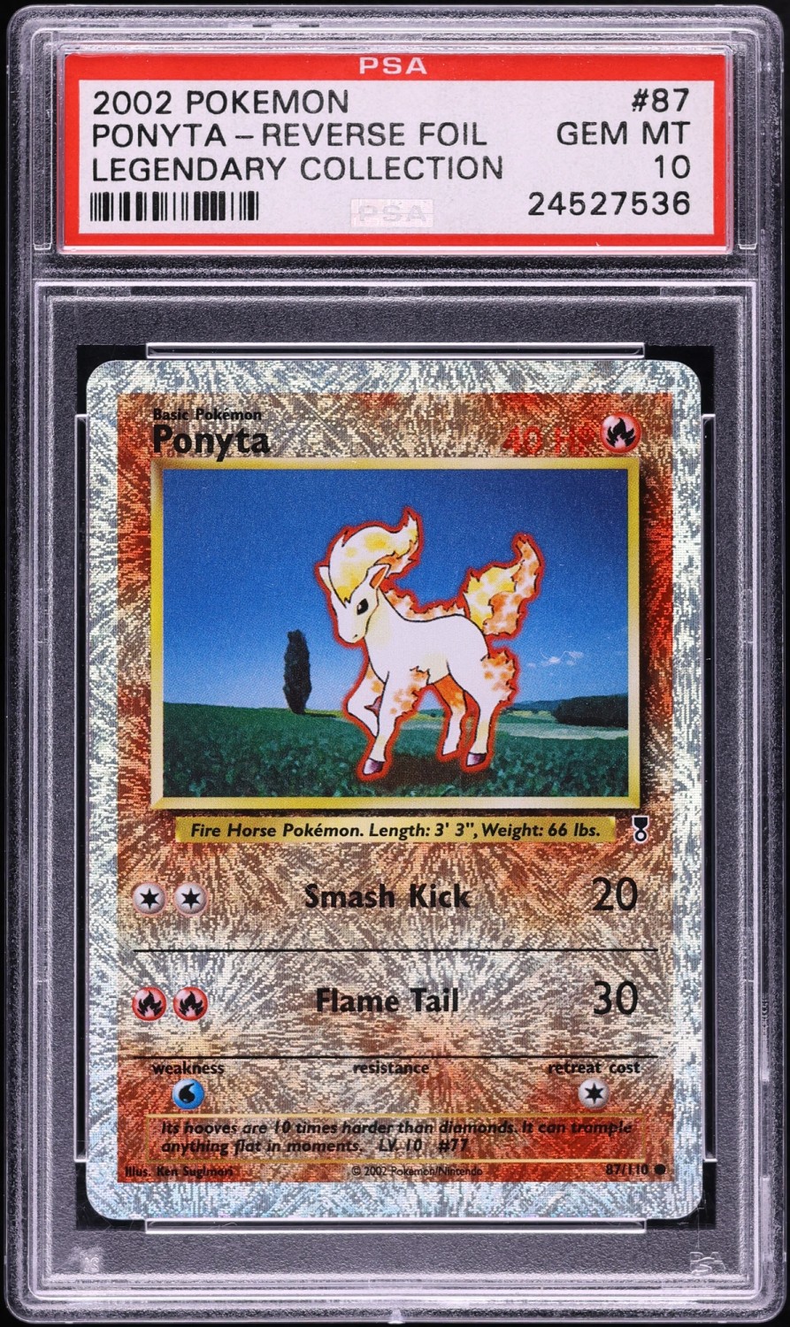 PONYTA