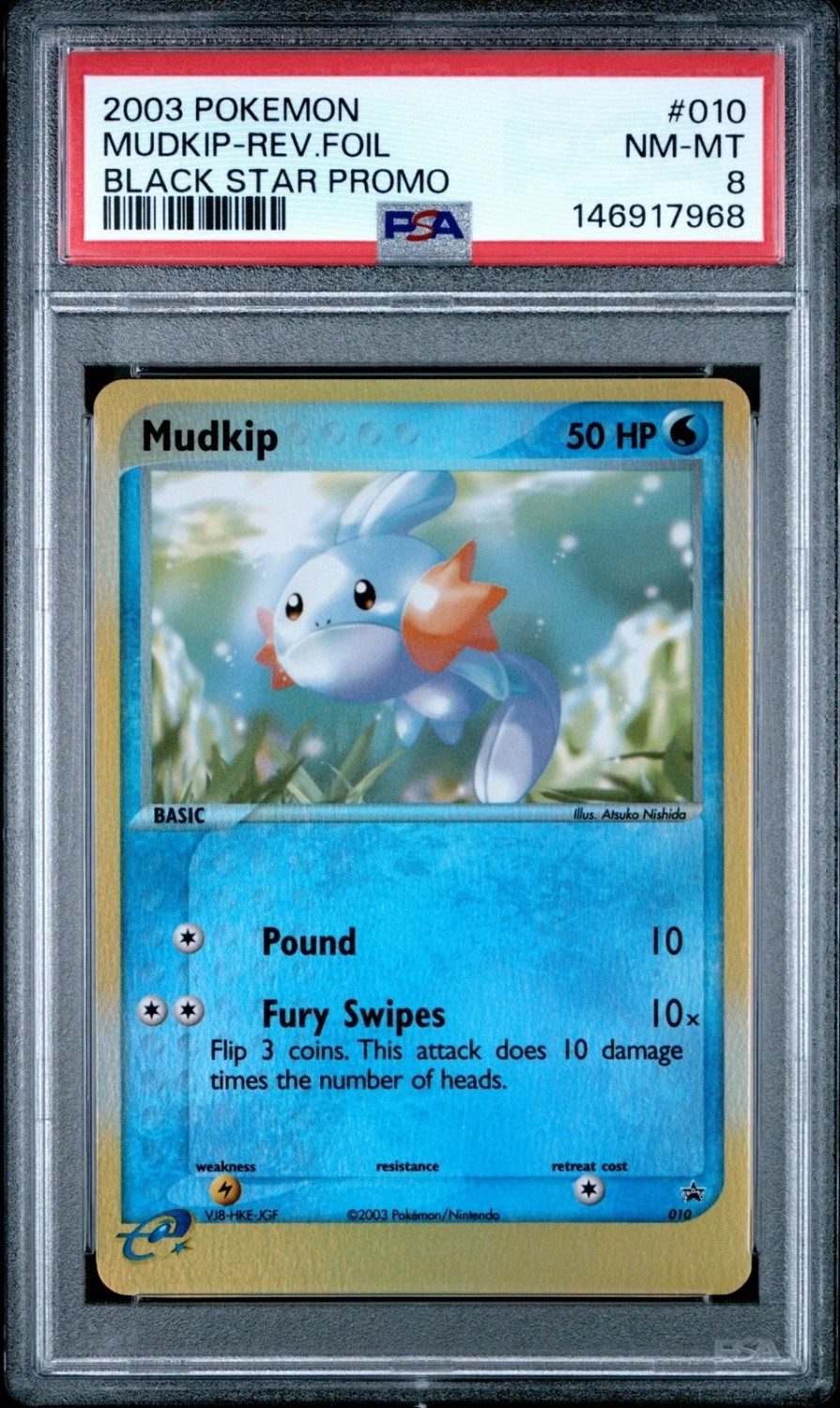 Mudkip