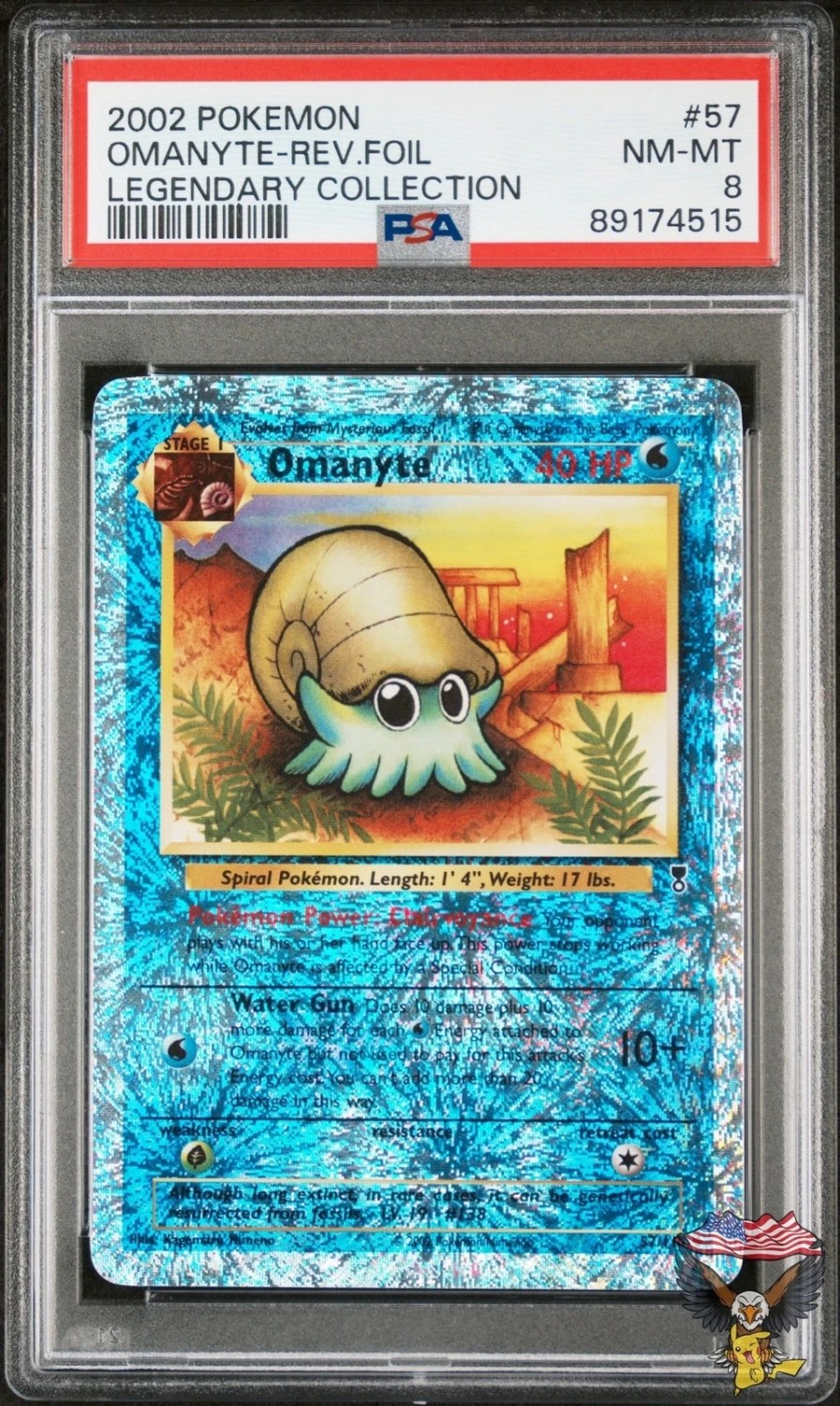 Omanyte