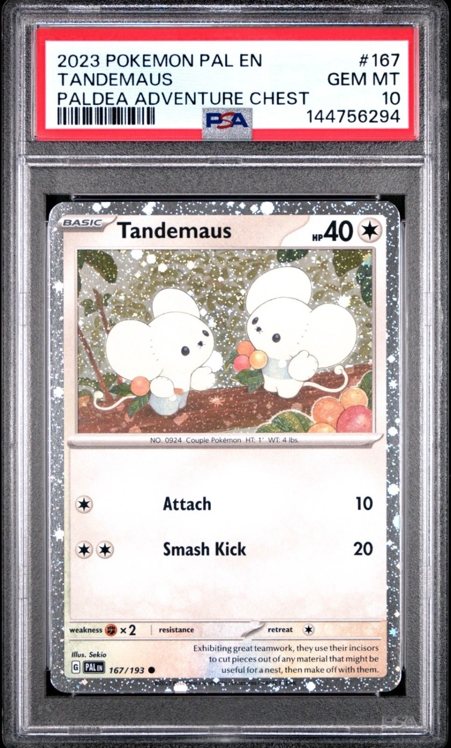 TANDEMAUS