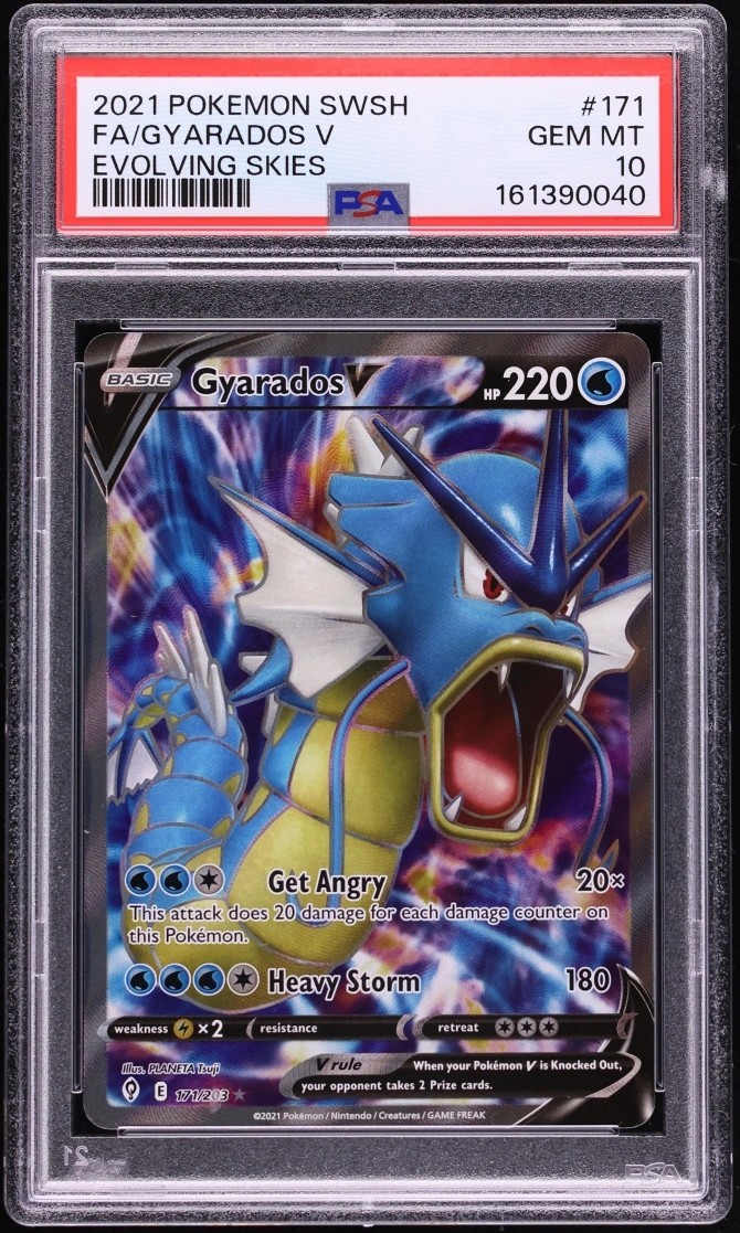 Gyarados V