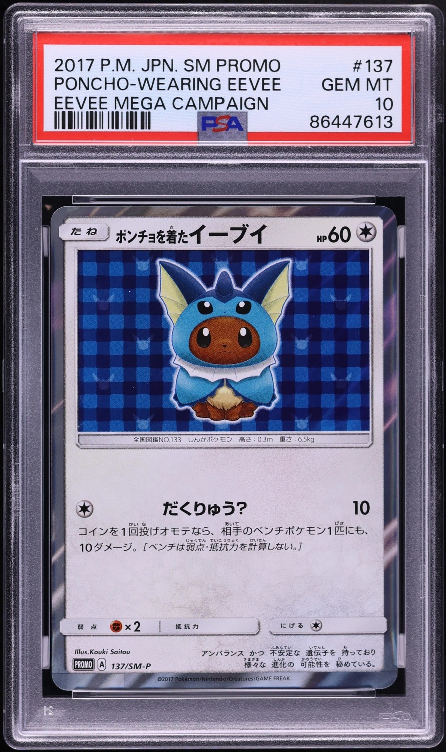 Poncho-wearing Eevee