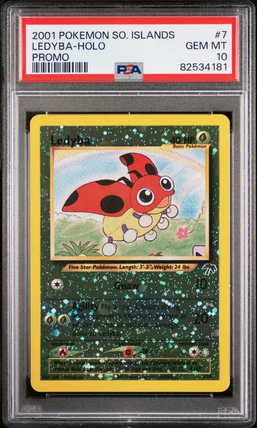 Ledyba