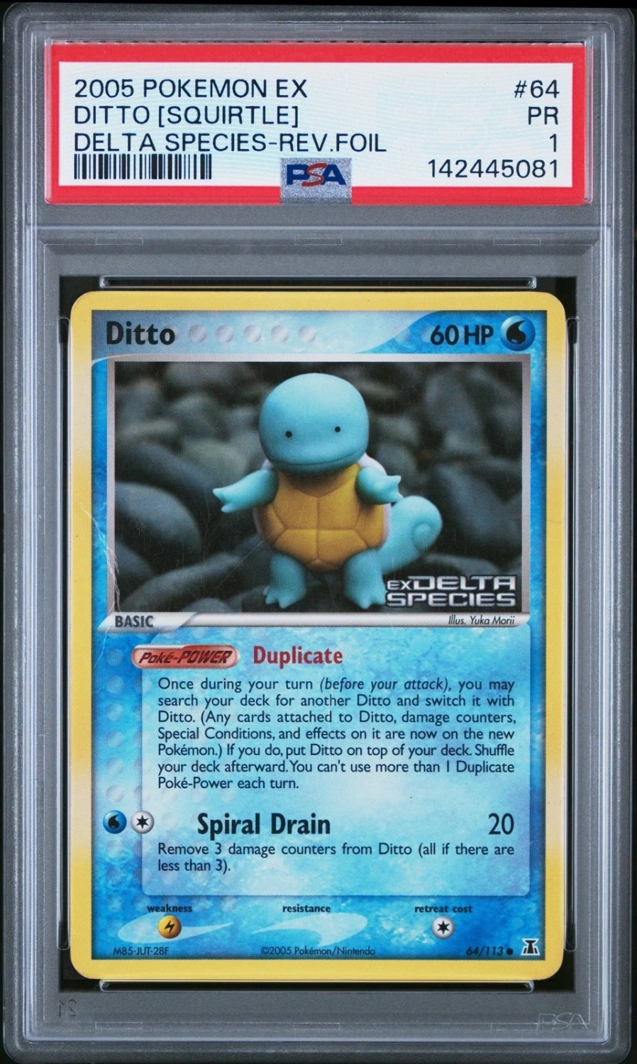 Ditto [Squirtle]