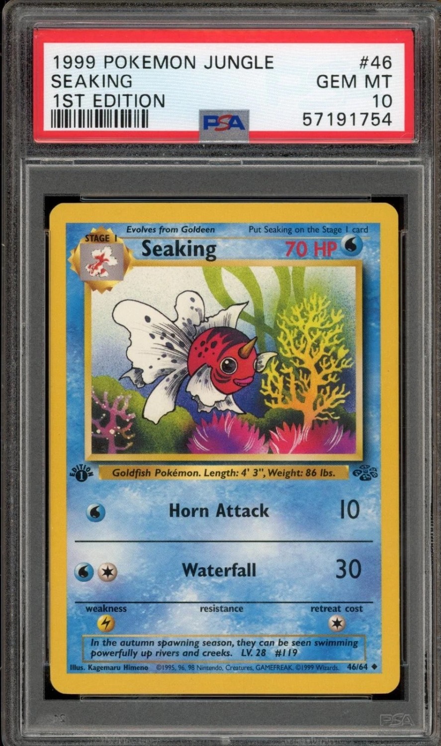 Seaking