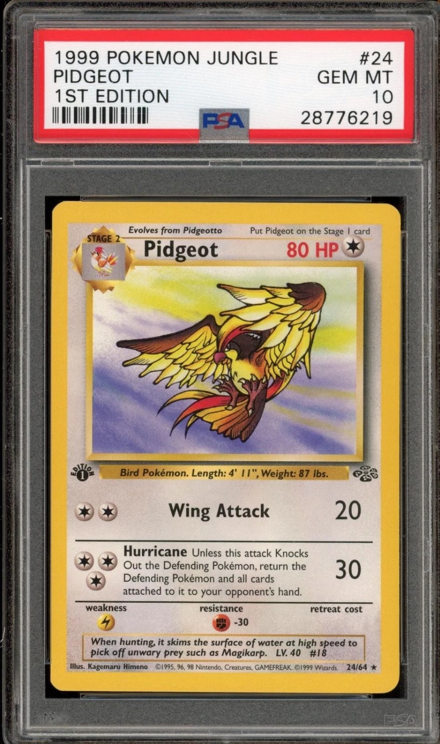 PIDGEOT