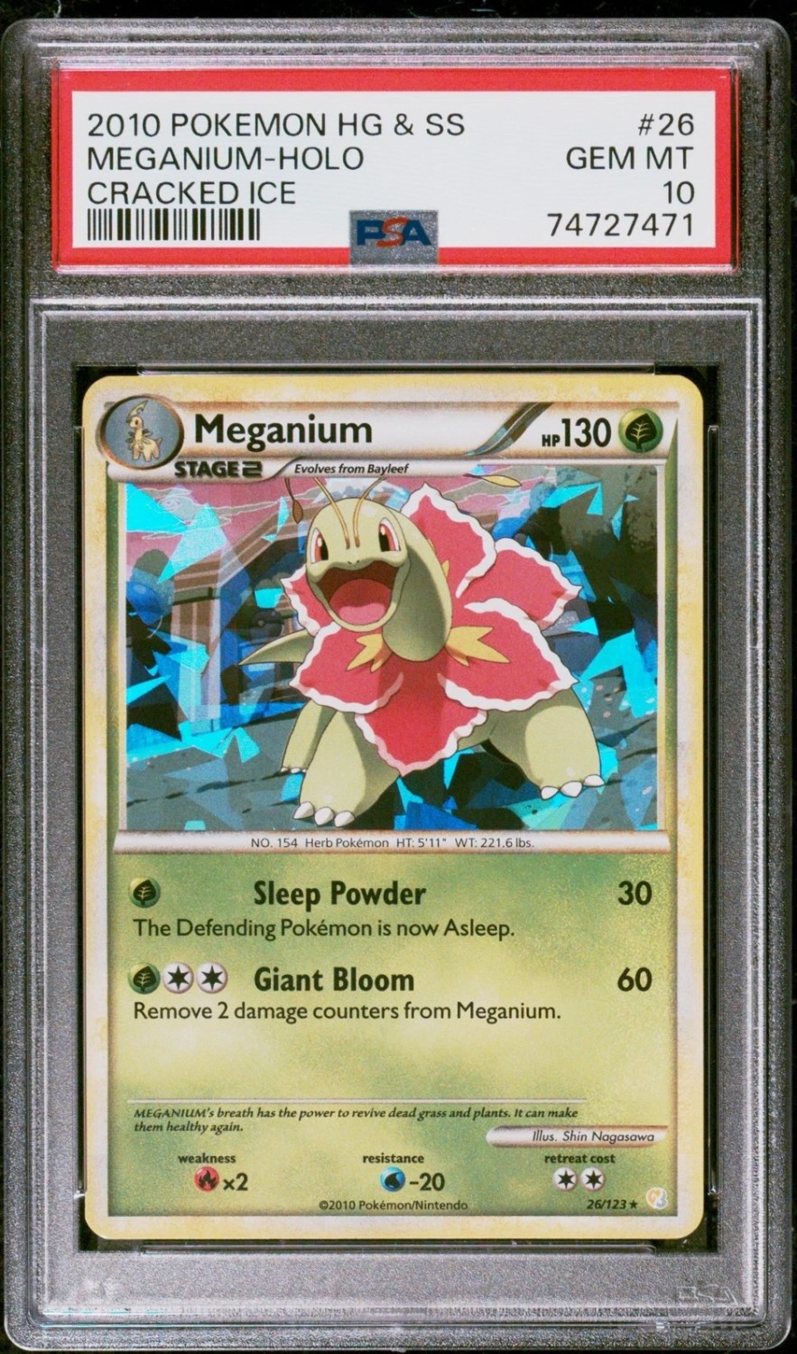 Meganium
