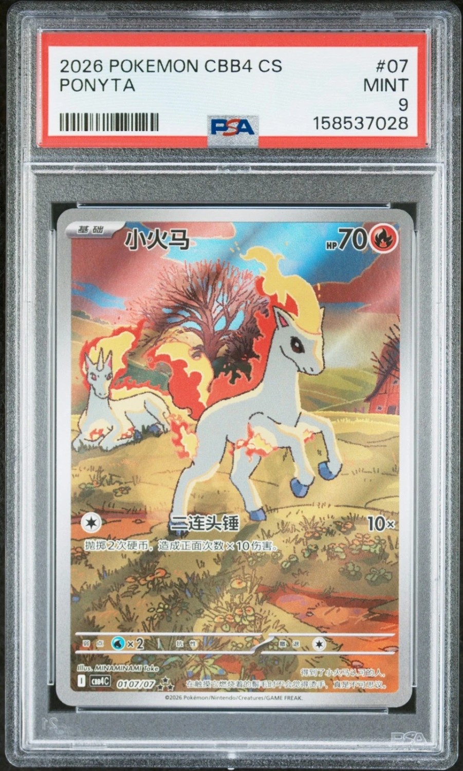 Ponyta