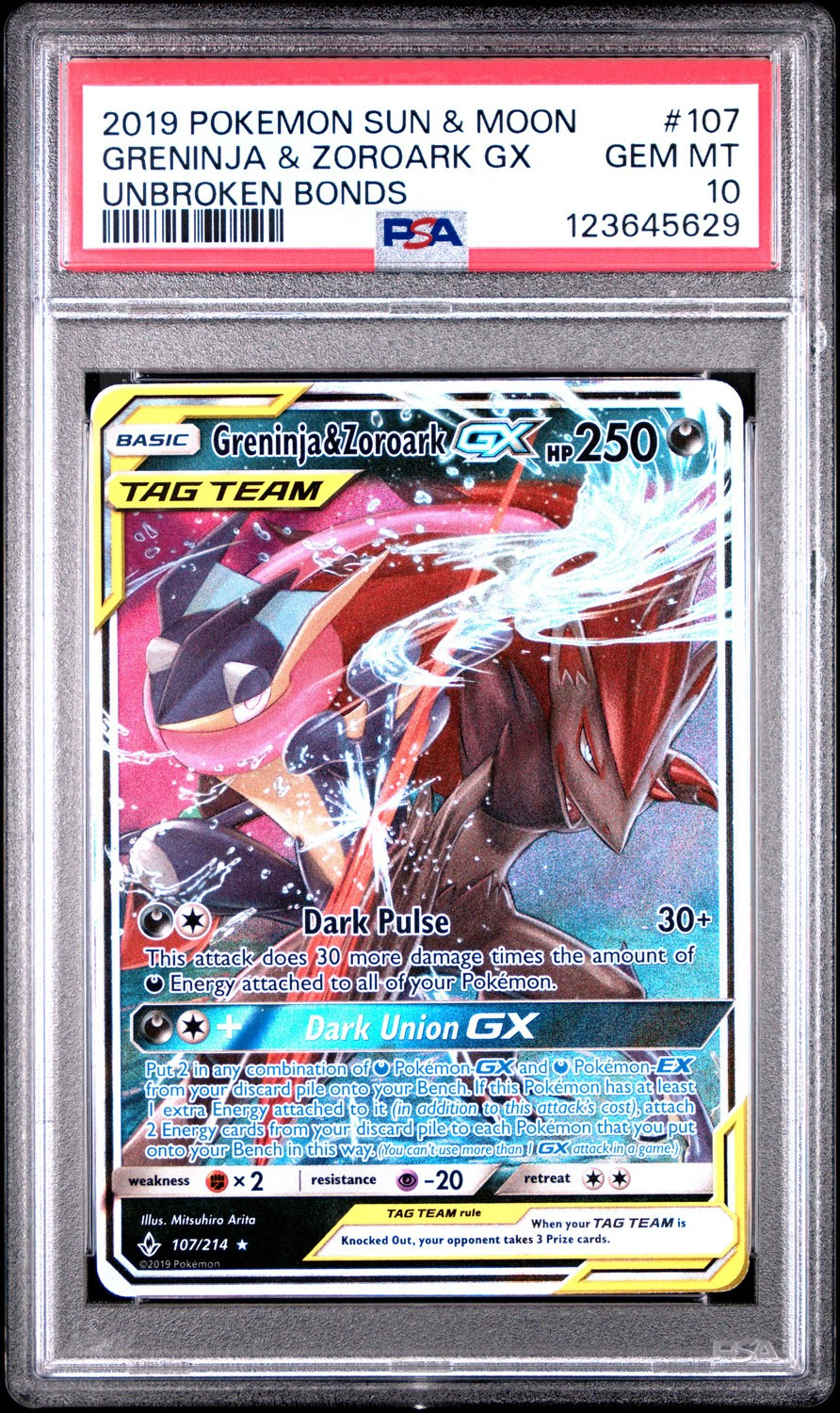 Greninja & Zoroark GX