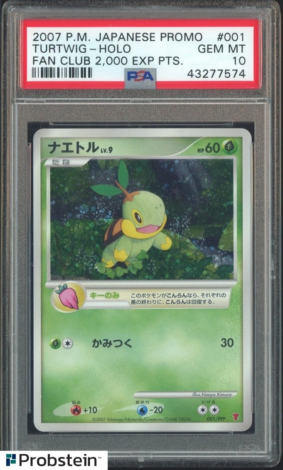Turtwig