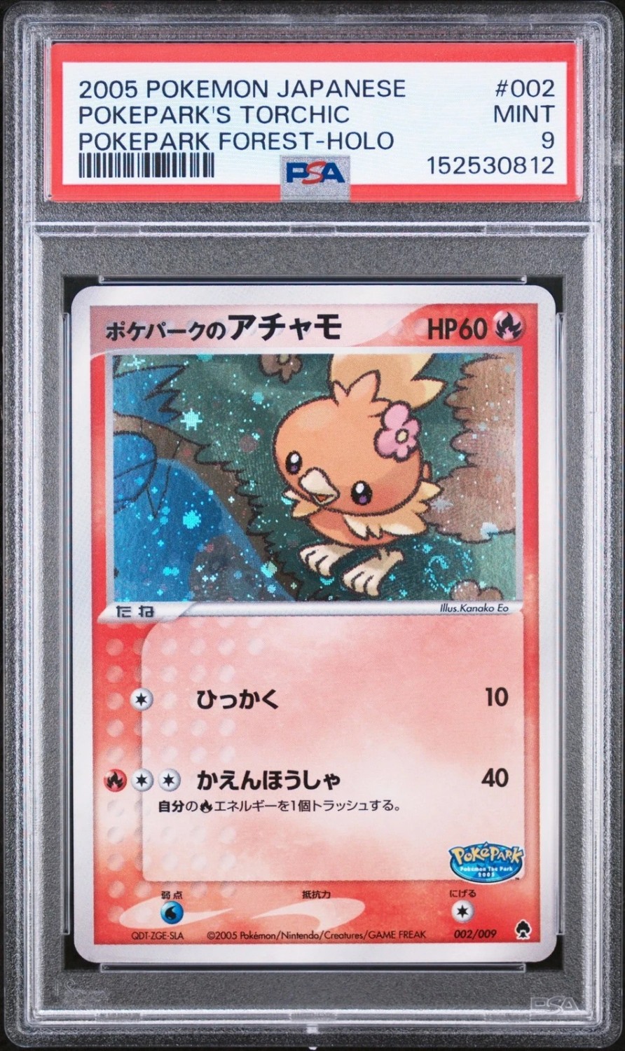 PokePark's Torchic