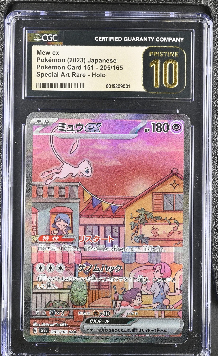MEW ex