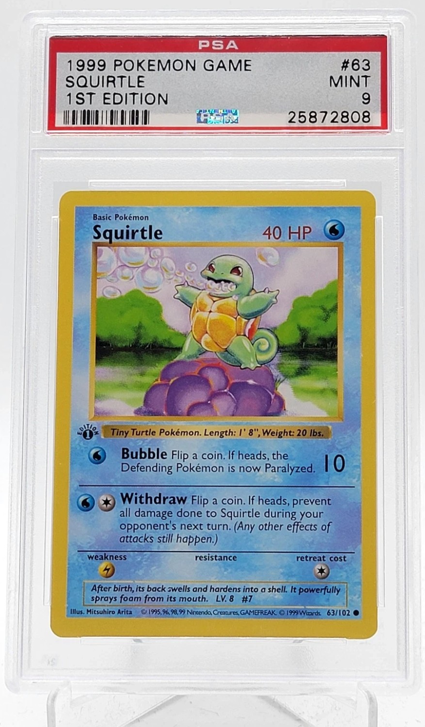 SQUIRTLE