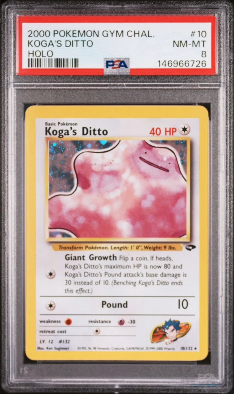Koga's Ditto