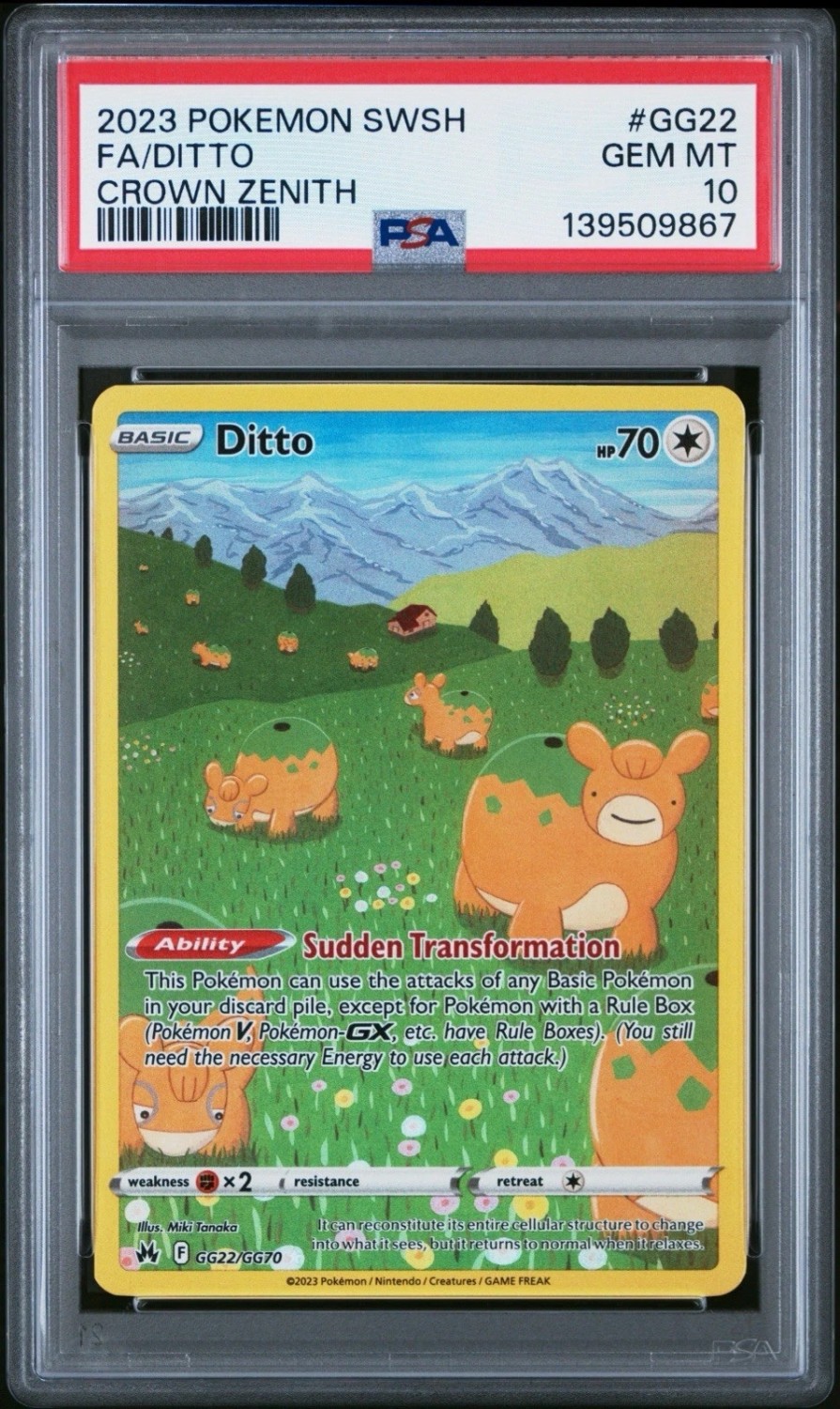Ditto