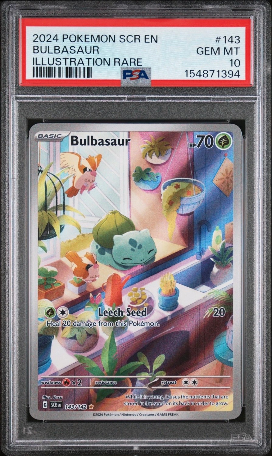 Bulbasaur