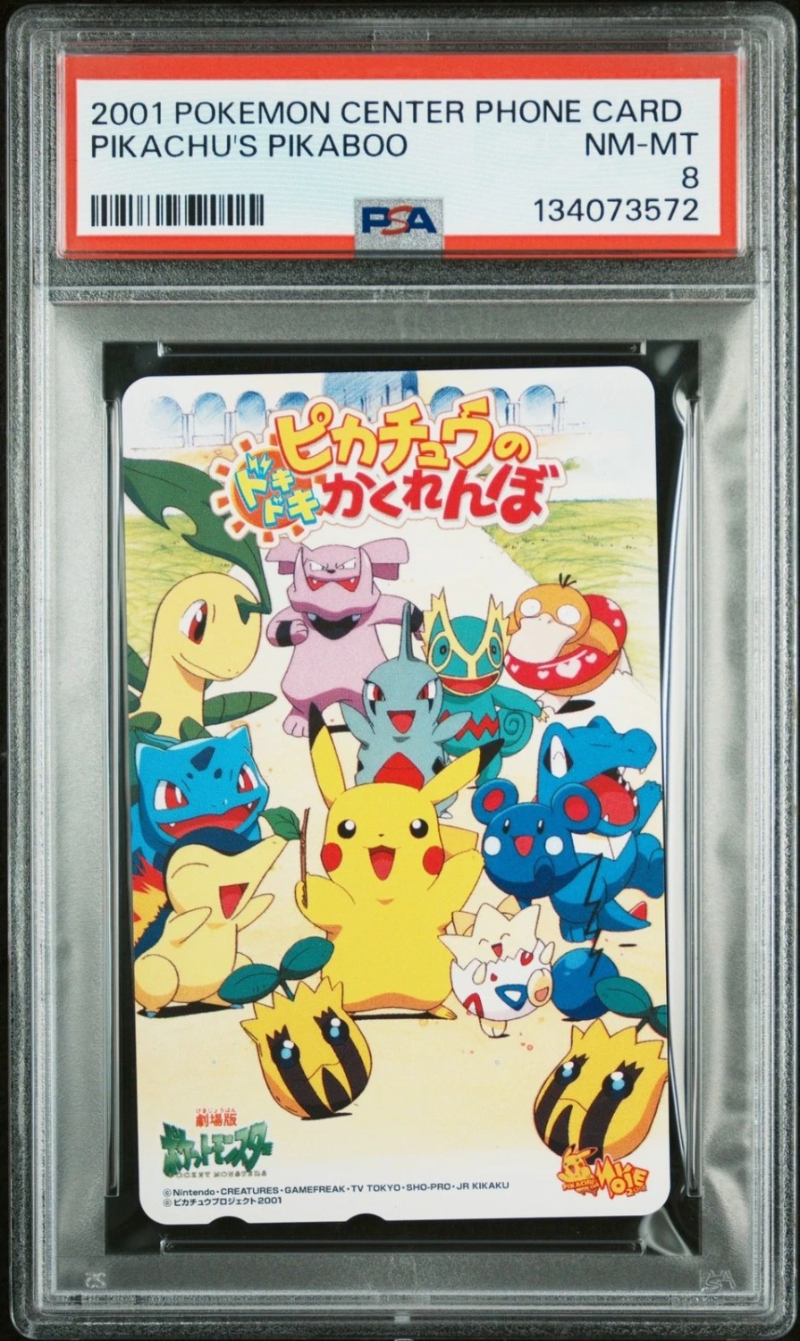 Pikachu's Pikaboo