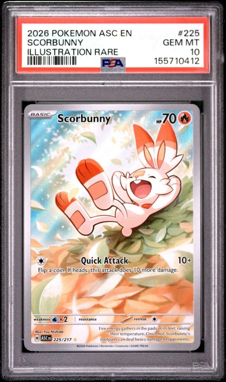 Scorbunny