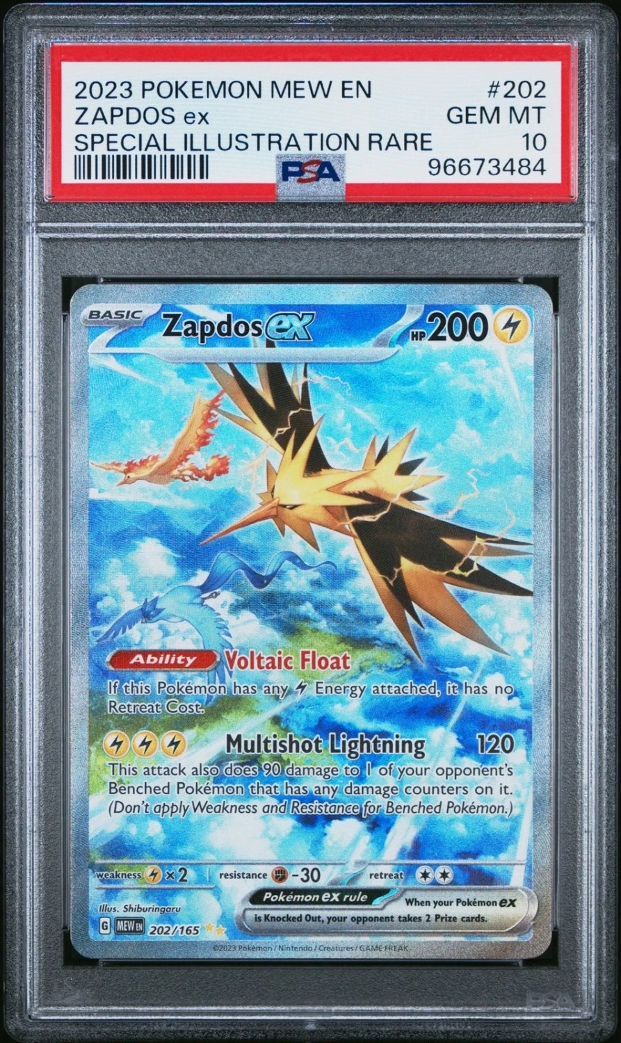 ZAPDOS ex