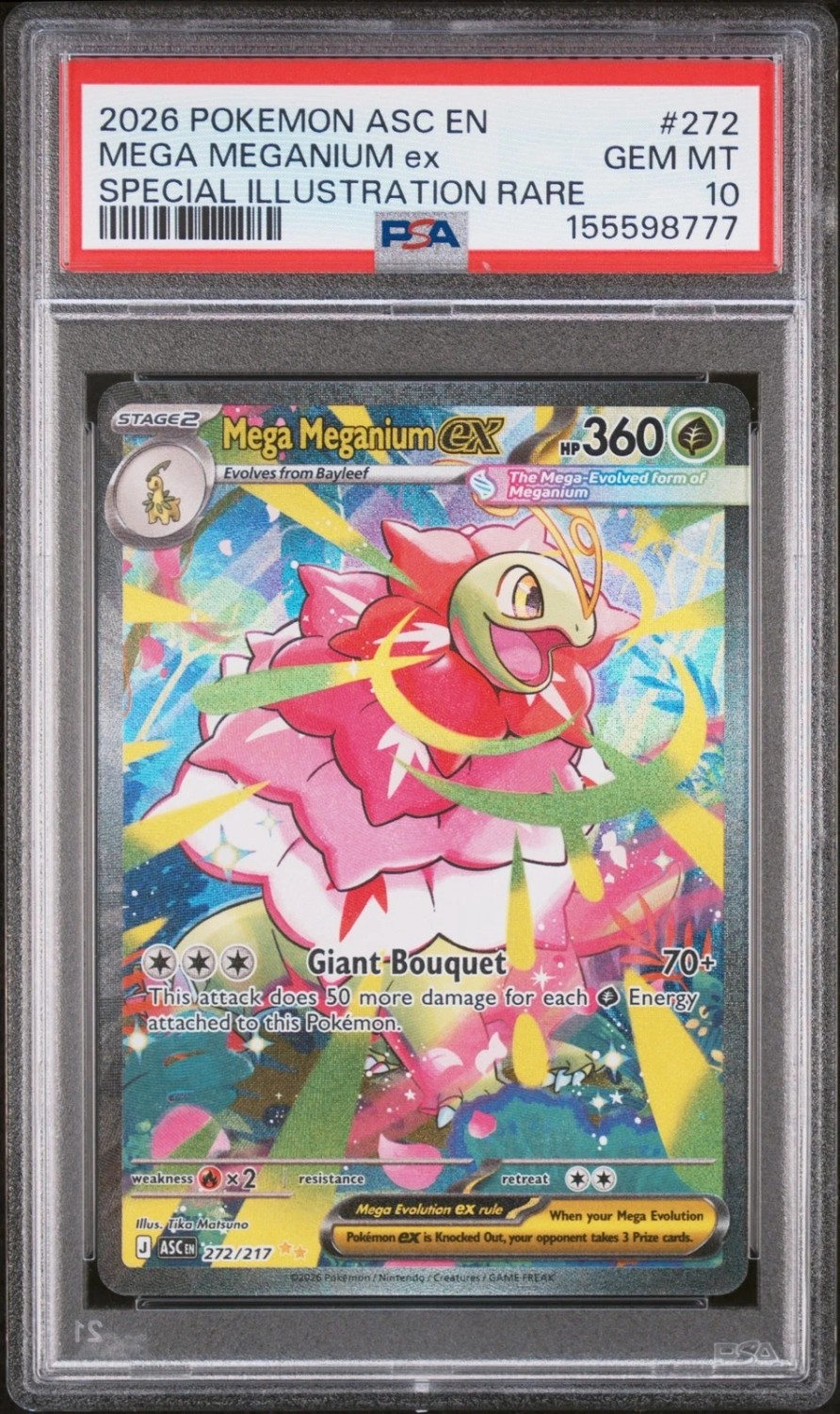 MEGA MEGANIUM ex