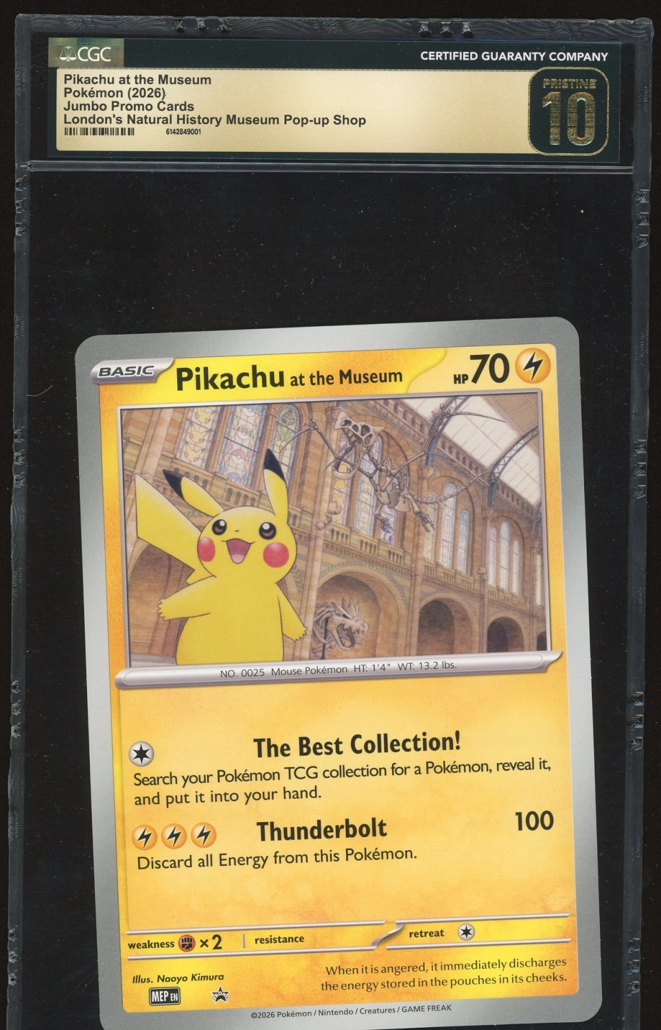 Pikachu At The Museum