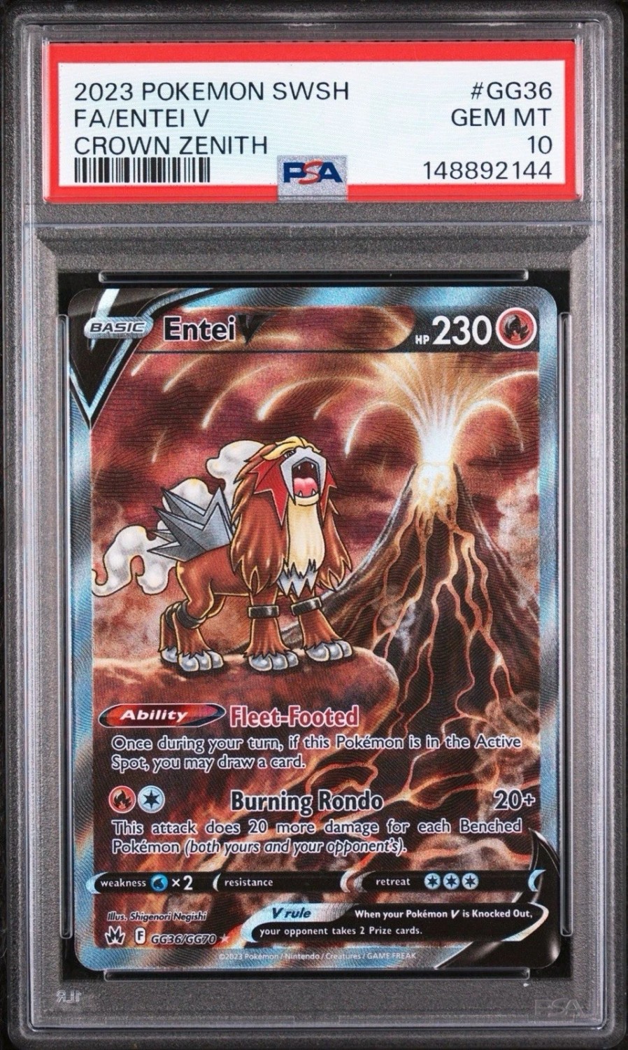 Entei V