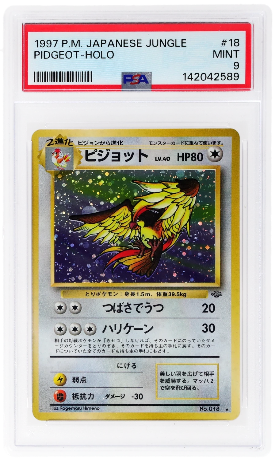 Pidgeot