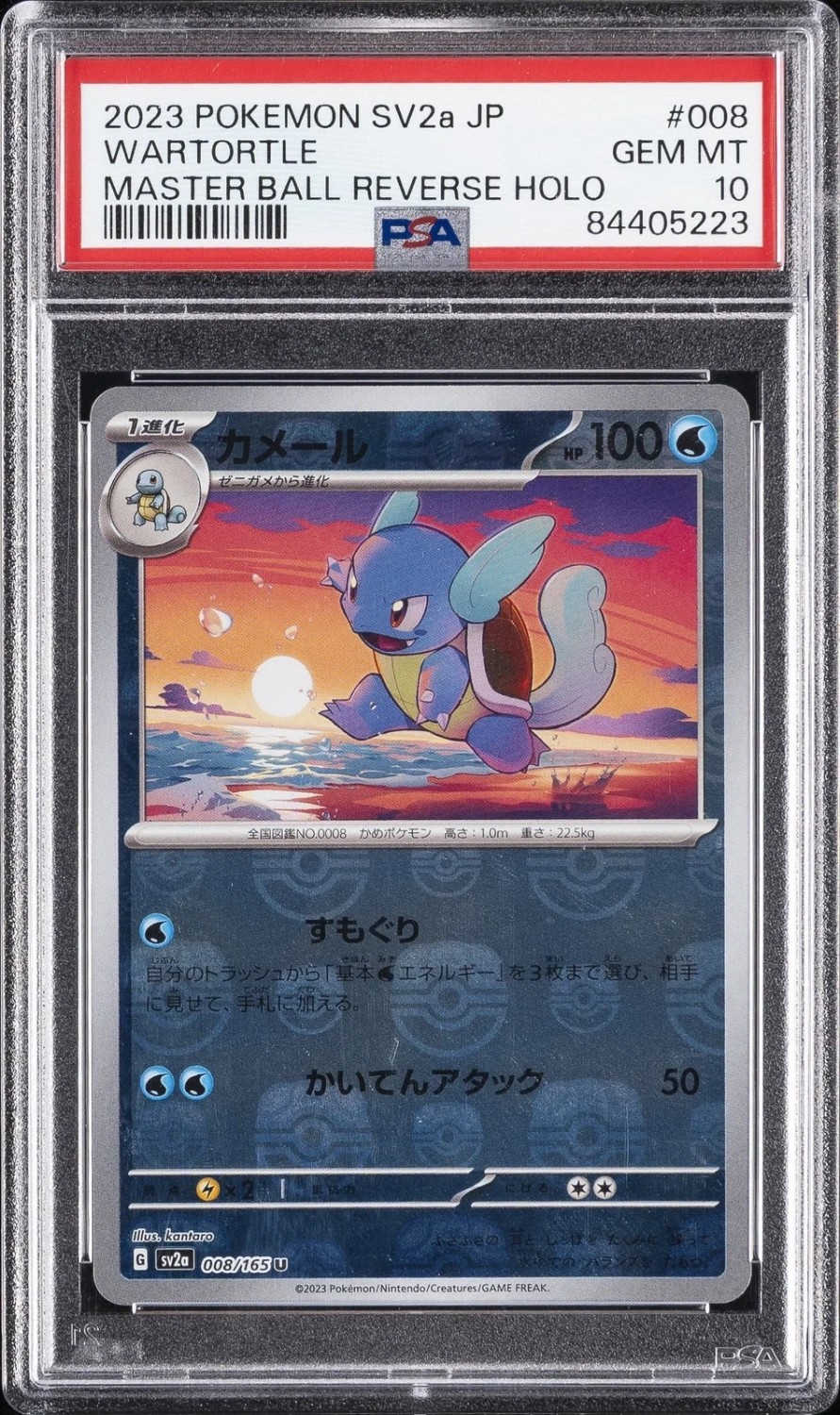 Wartortle