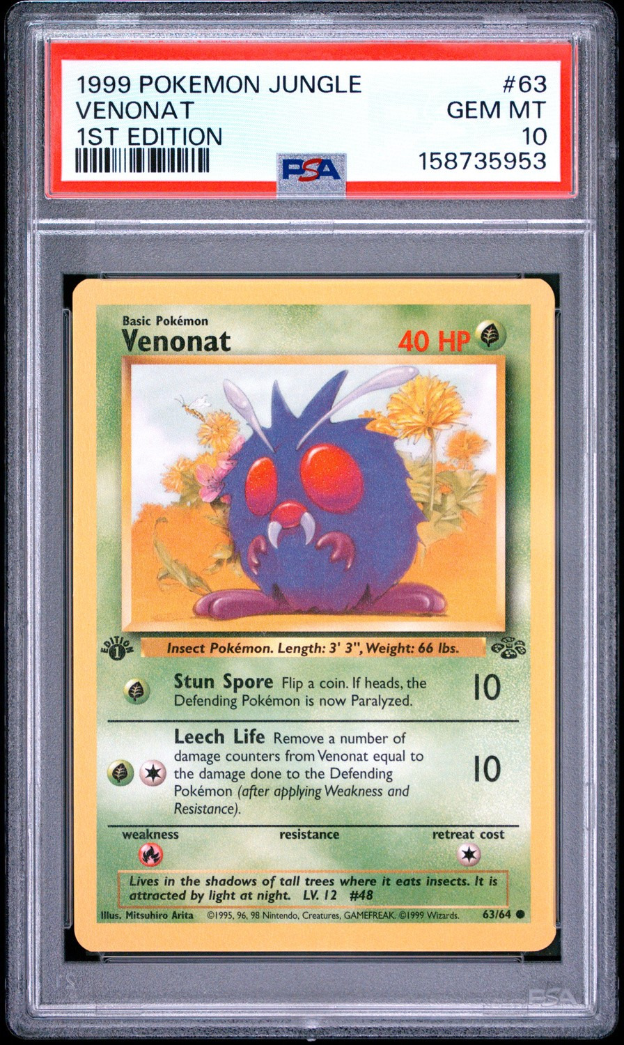 Venonat