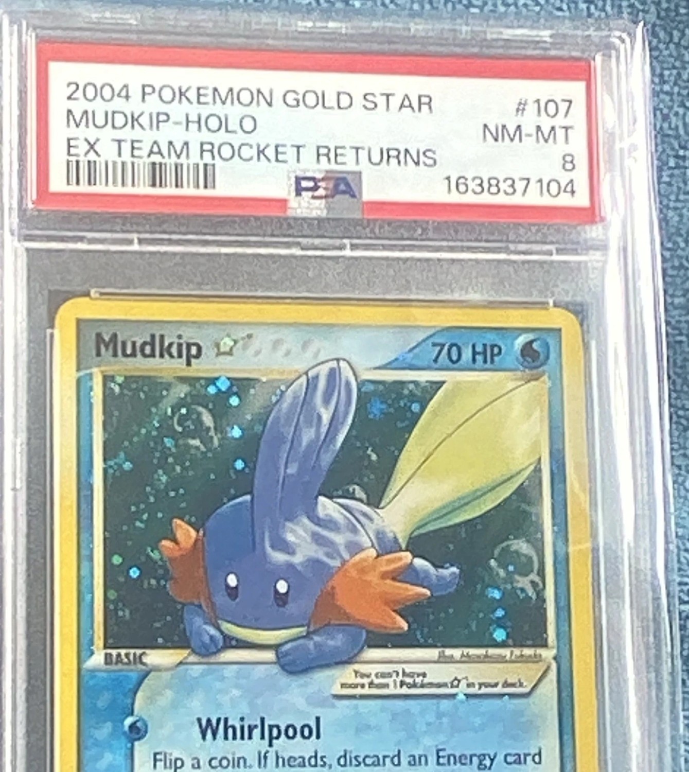 Mudkip