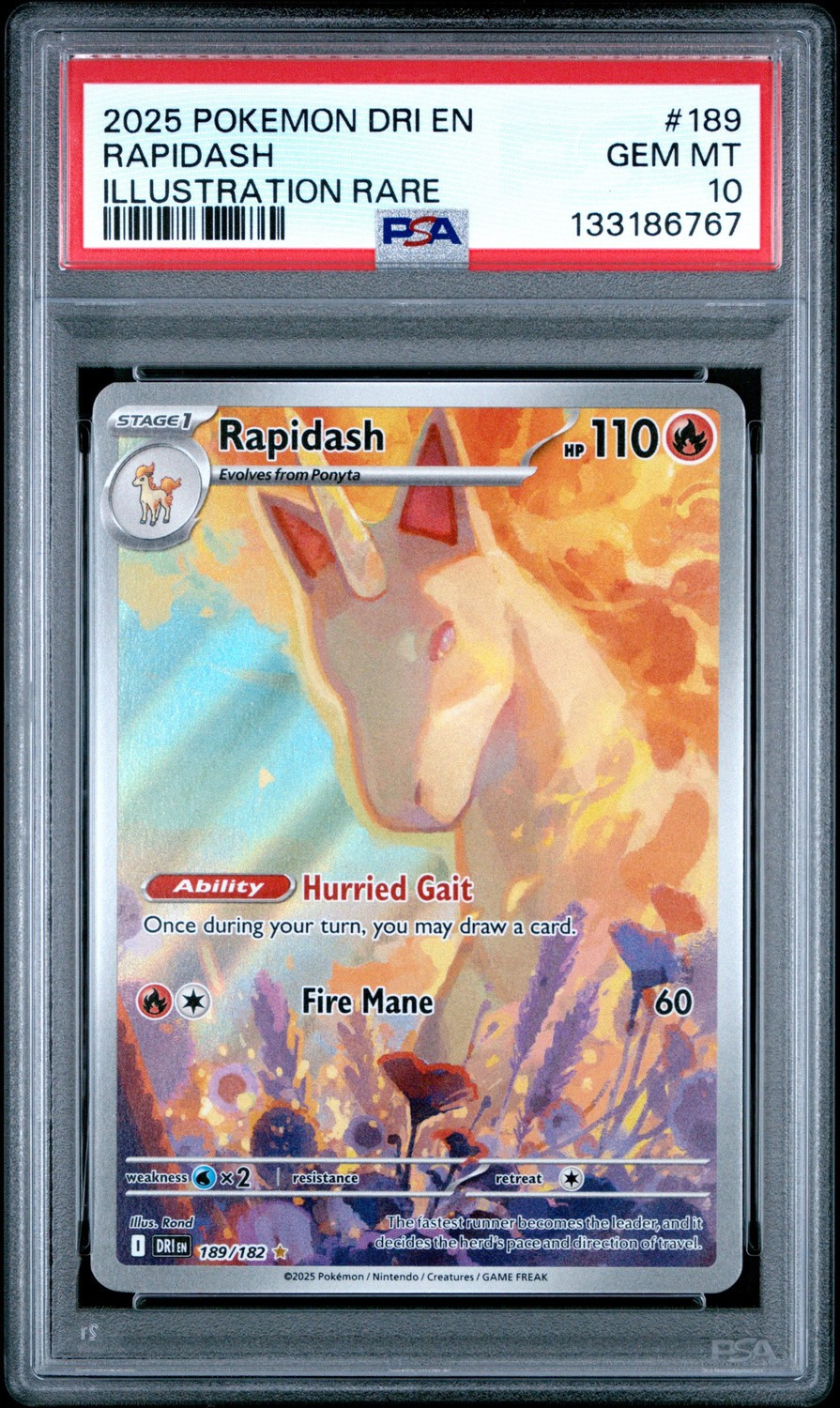 Rapidash