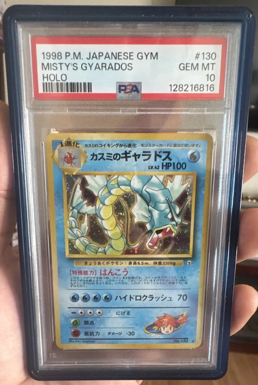 Misty's Gyarados