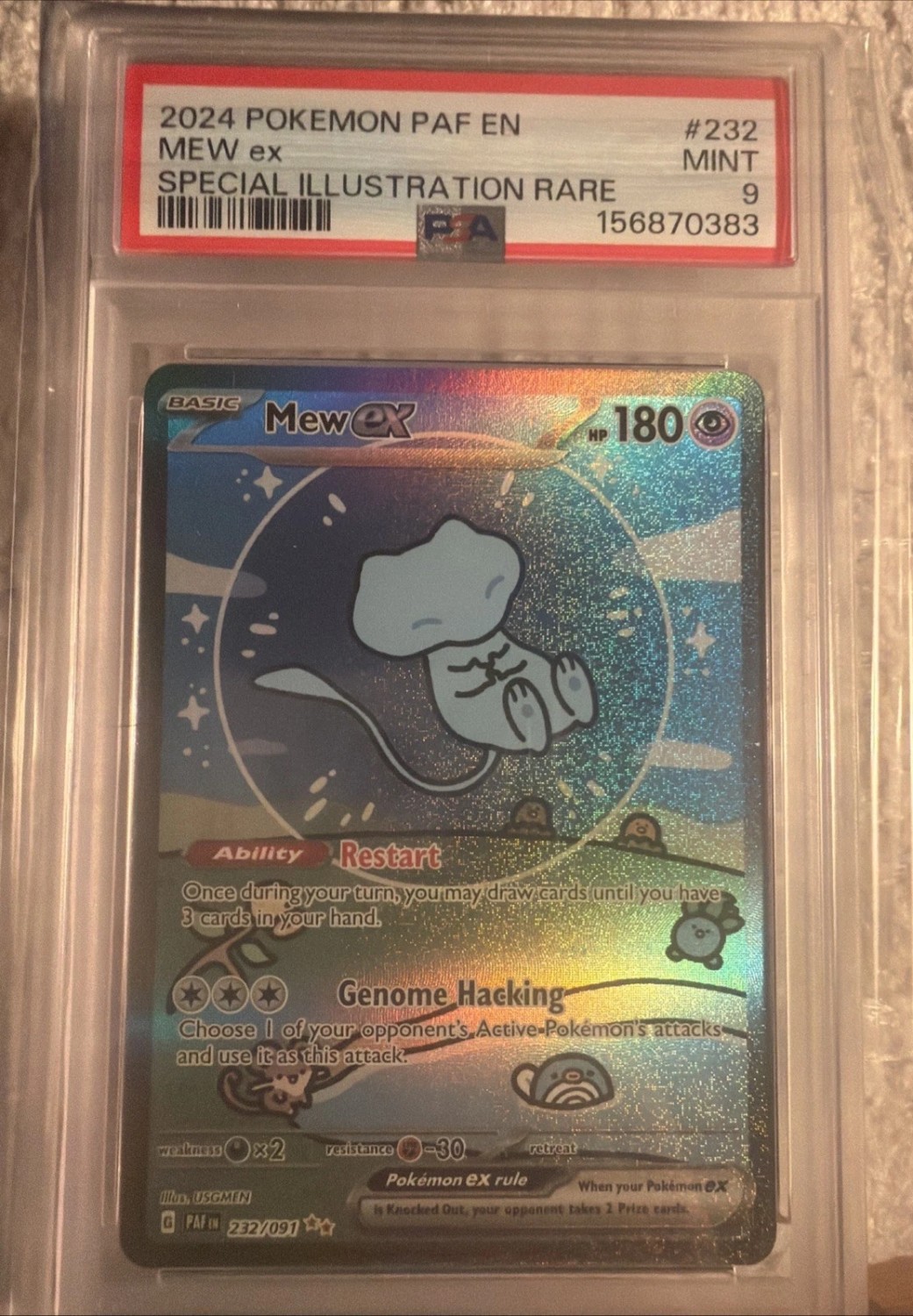 MEW ex