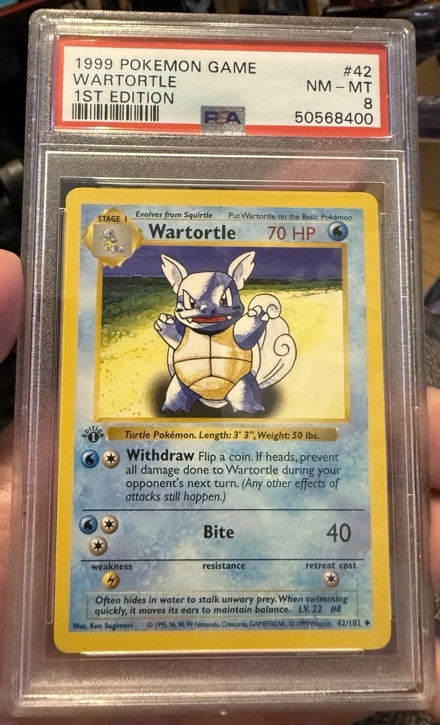 WARTORTLE