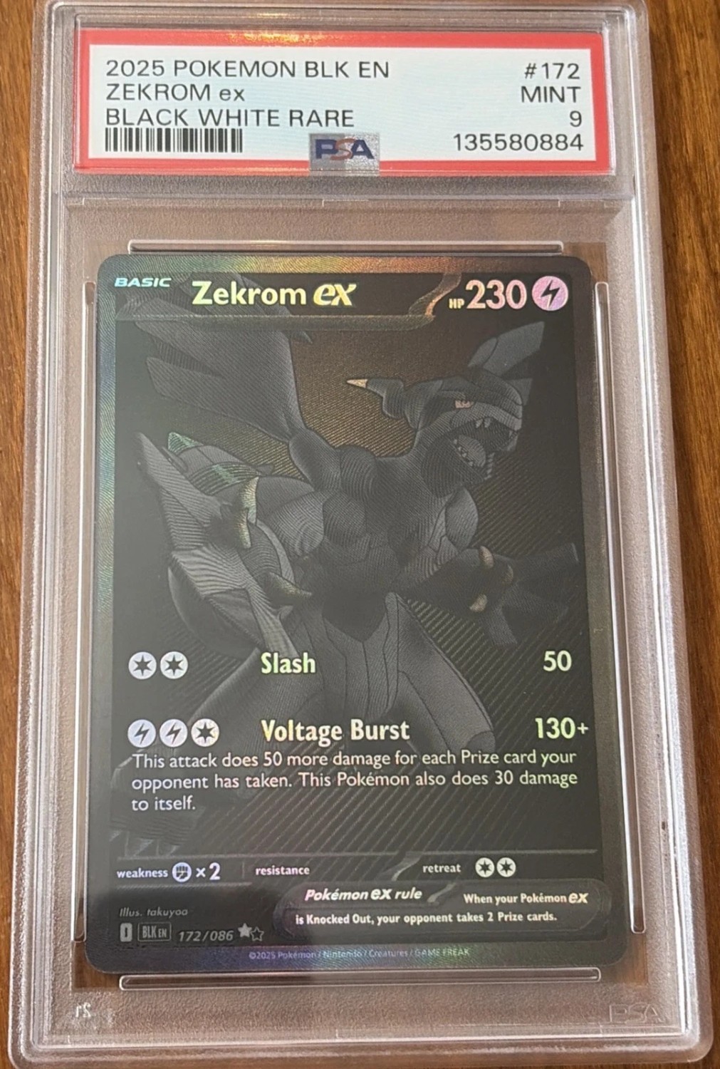 ZEKROM ex
