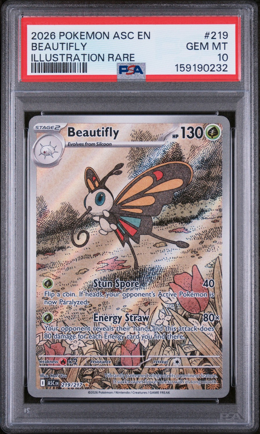 Beautifly