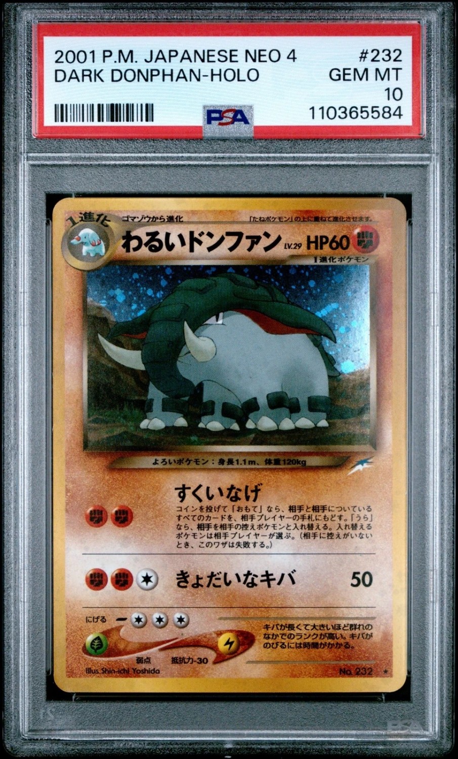Dark Donphan