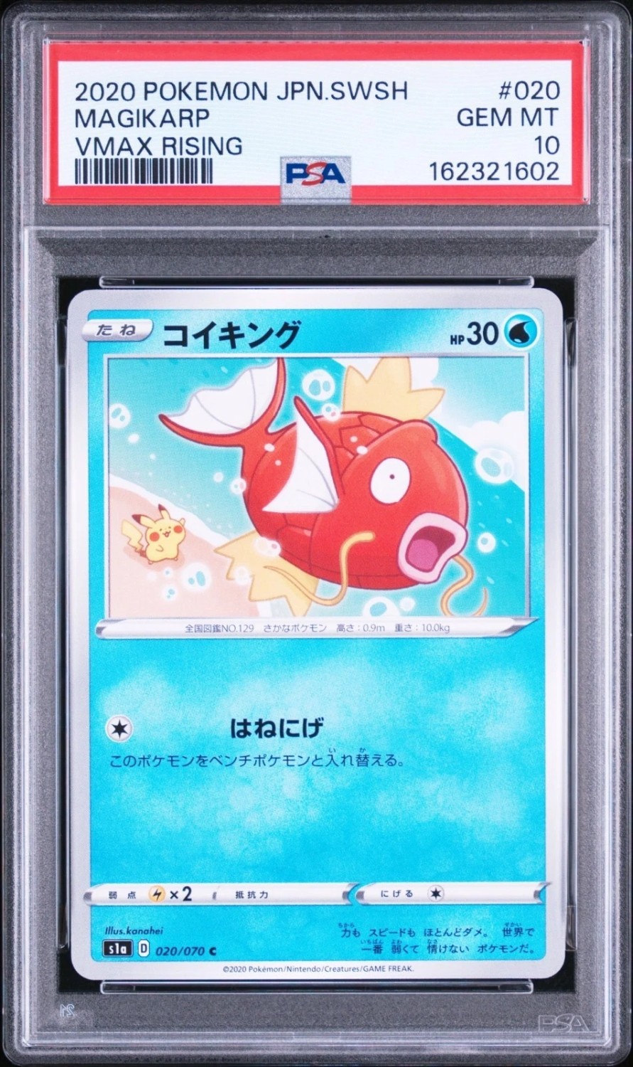 Magikarp