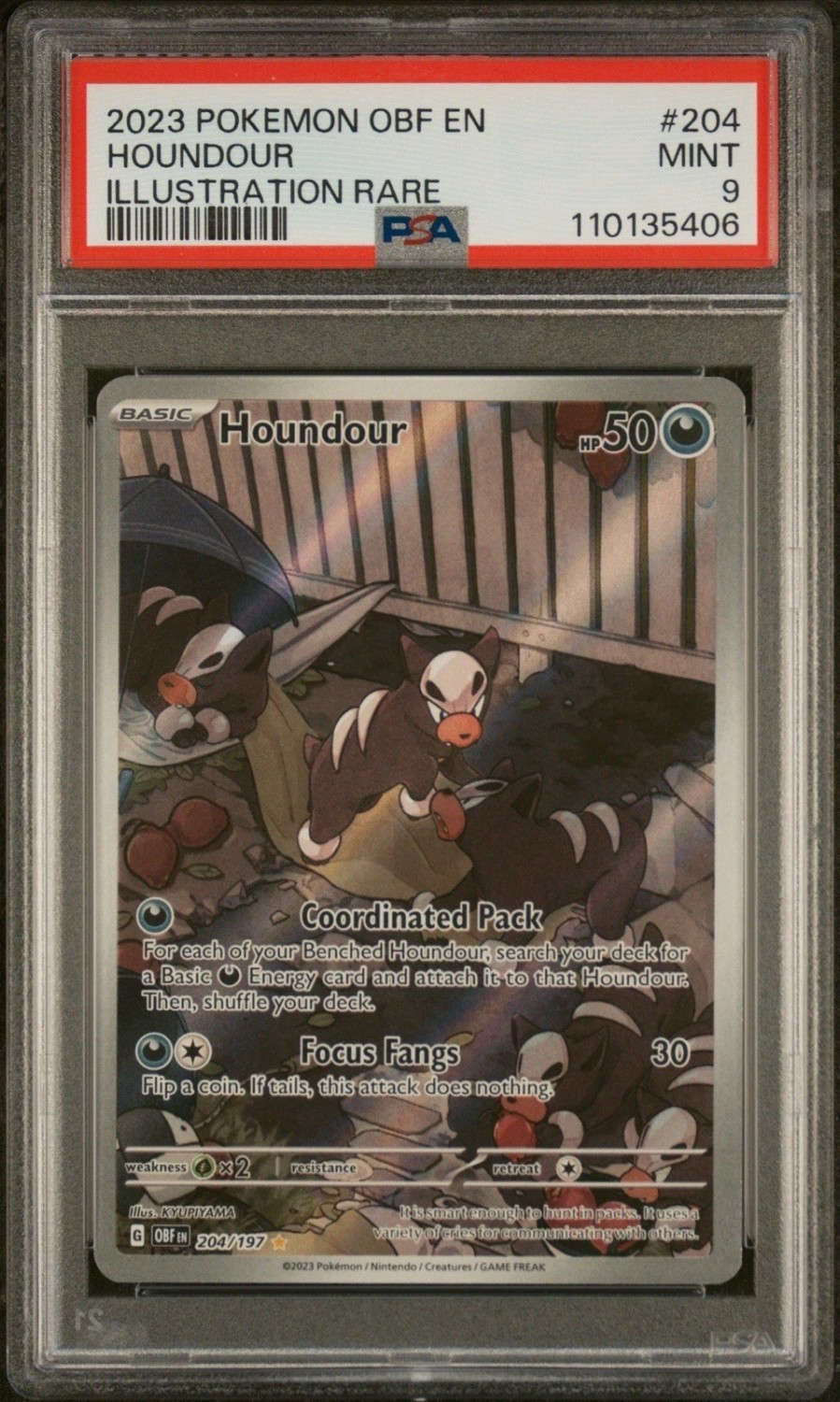 Houndour