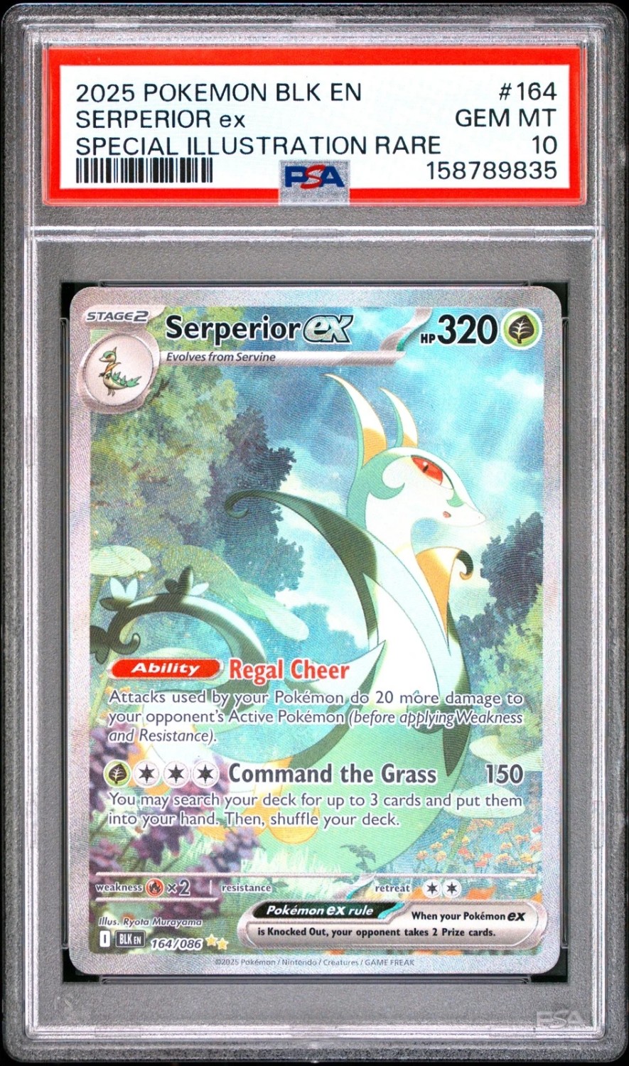 SERPERIOR ex