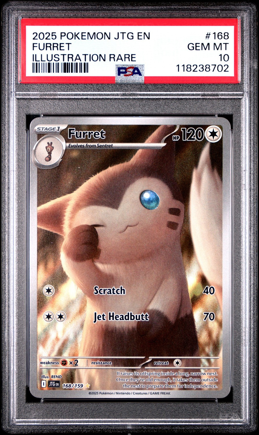 Furret